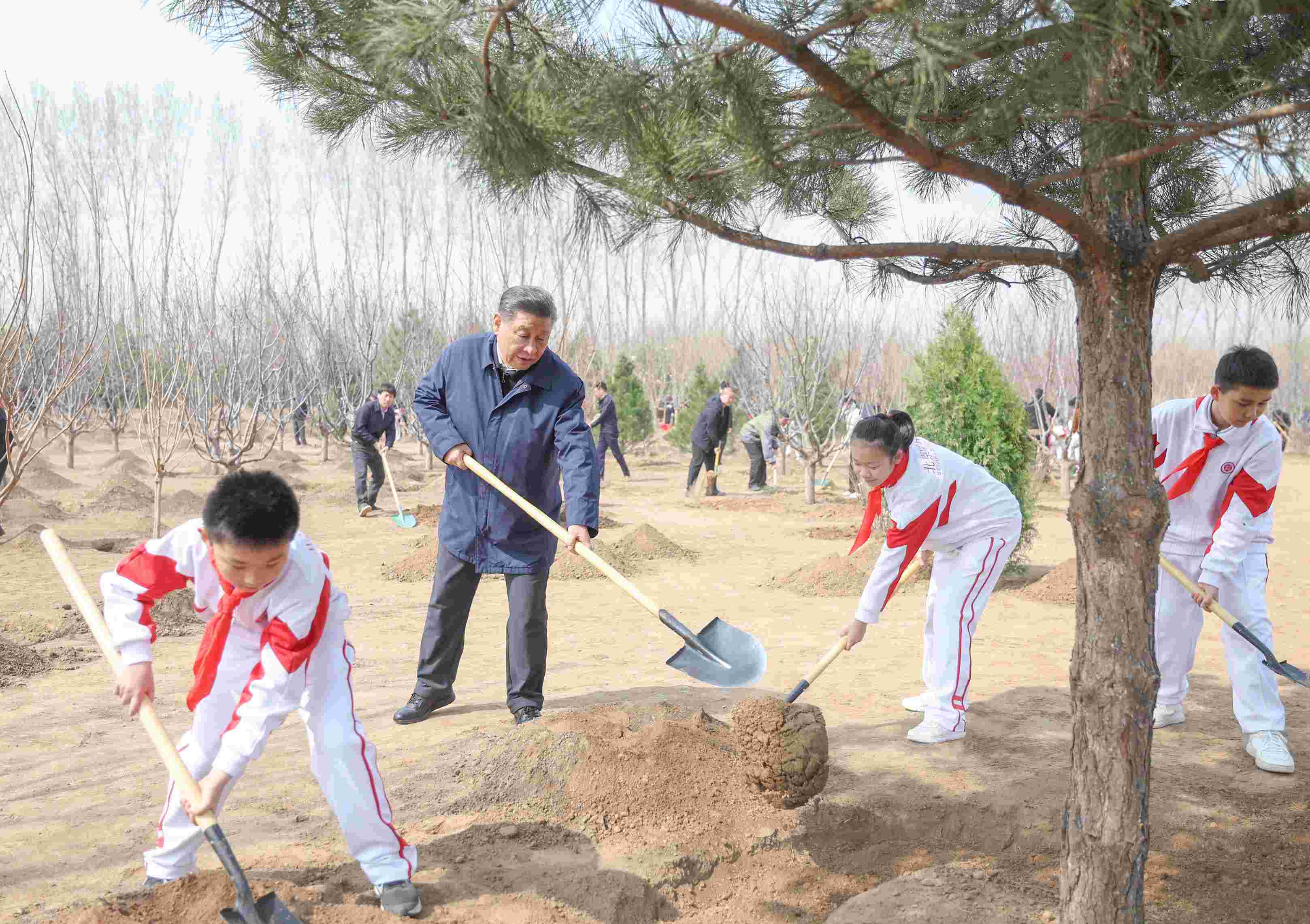 2024年4月3日，習(xí)近平總書記來到北京市通州區(qū)潞城鎮(zhèn)參加首都義務(wù)植樹活動。