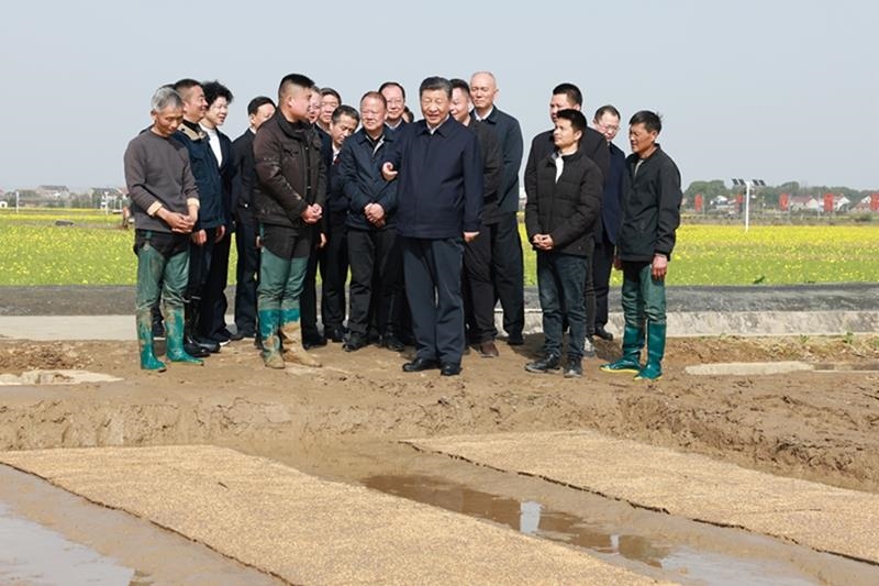 △2024年3月19日，在湖南常德市鼎城區(qū)謝家鋪鎮(zhèn)港中坪村，習近平總書記走進田間，察看秧苗培育和春耕備耕進展。