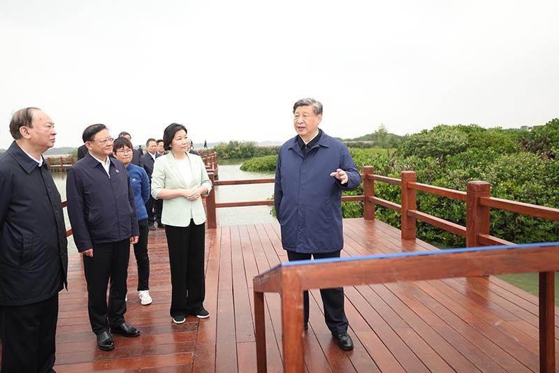 △2023年4月10日，習(xí)近平總書記在廣東湛江市麻章區(qū)湖光鎮(zhèn)金牛島紅樹林片區(qū)考察。