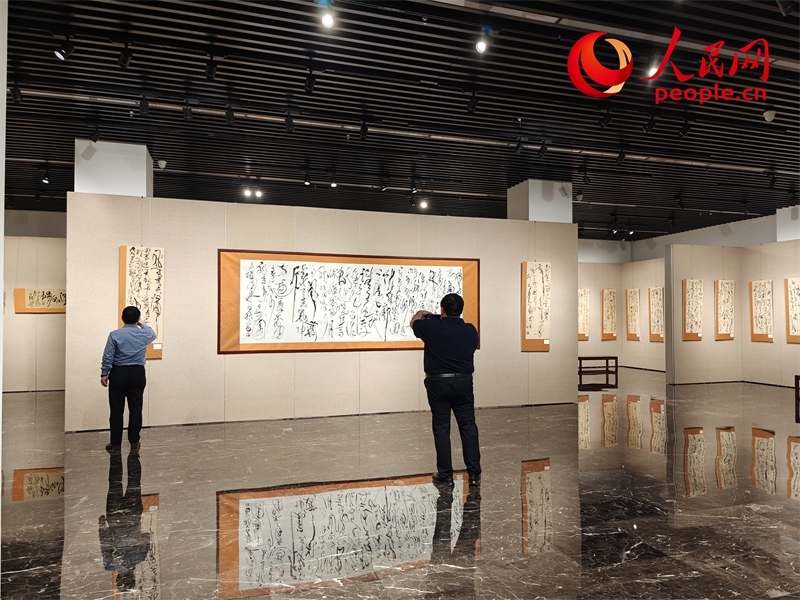 觀眾正在參觀展覽。人民網記者 韋衍行攝