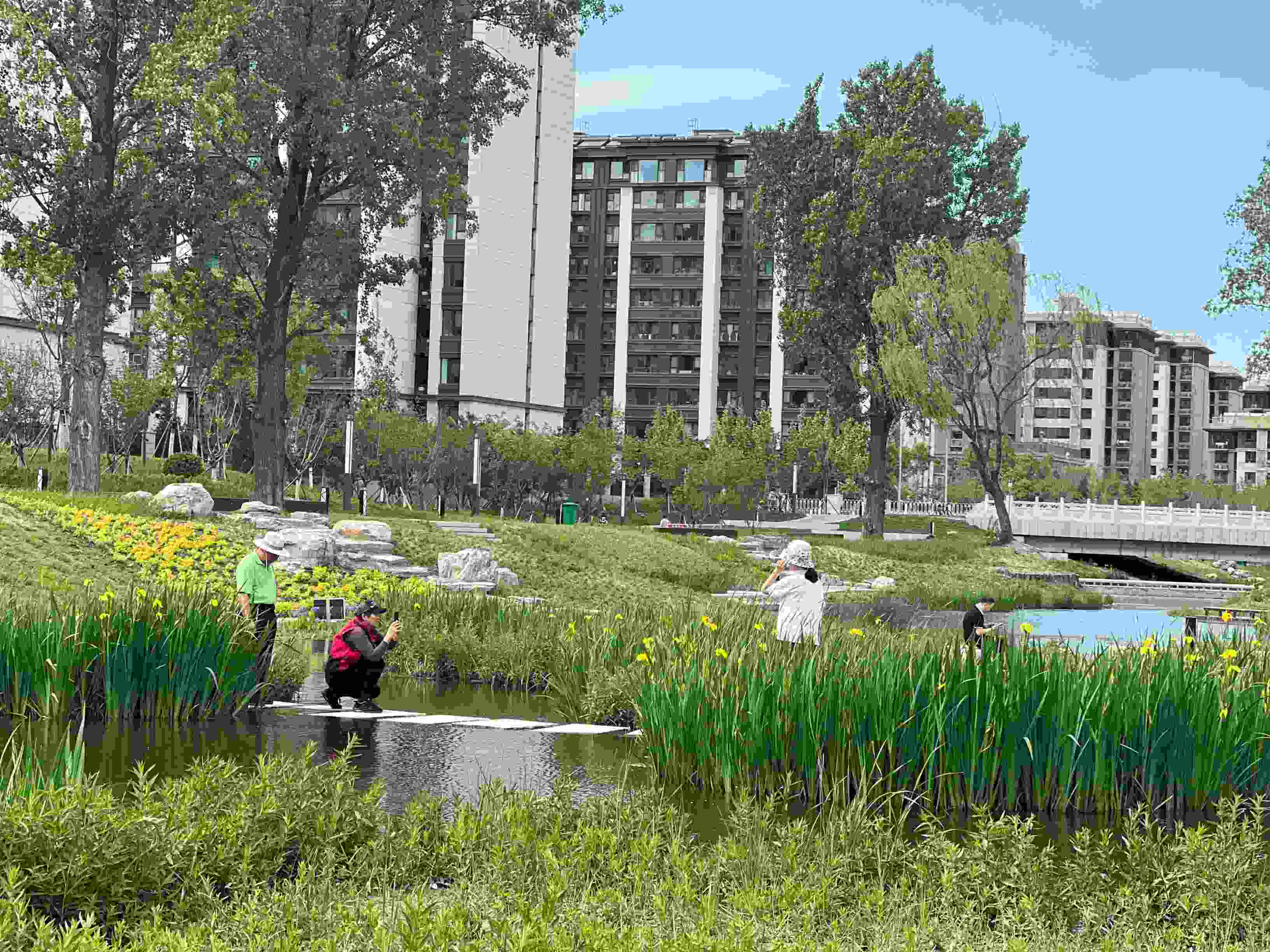 五一渠生態(tài)濱河公園內(nèi)，市民正在拍照留念。人民網(wǎng) 歐陽(yáng)易佳攝