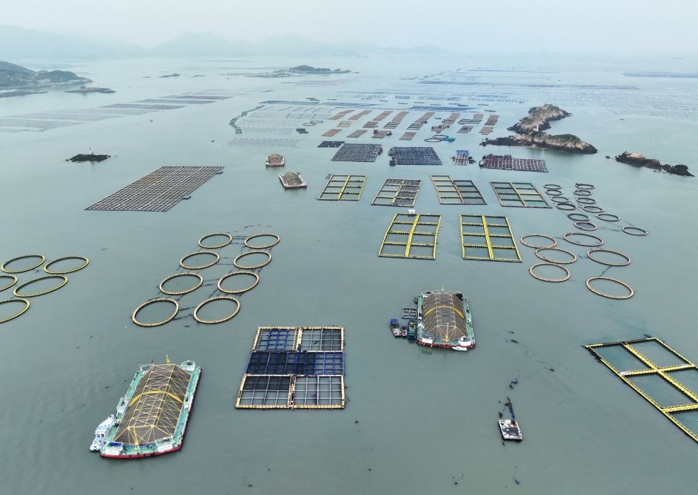 在福建連江定海灣海域，坐落著“定海灣1號”“定海灣2號”等深遠海養(yǎng)殖平臺（2024年5月7日攝，無人機照片）。新華社記者 林善傳 攝