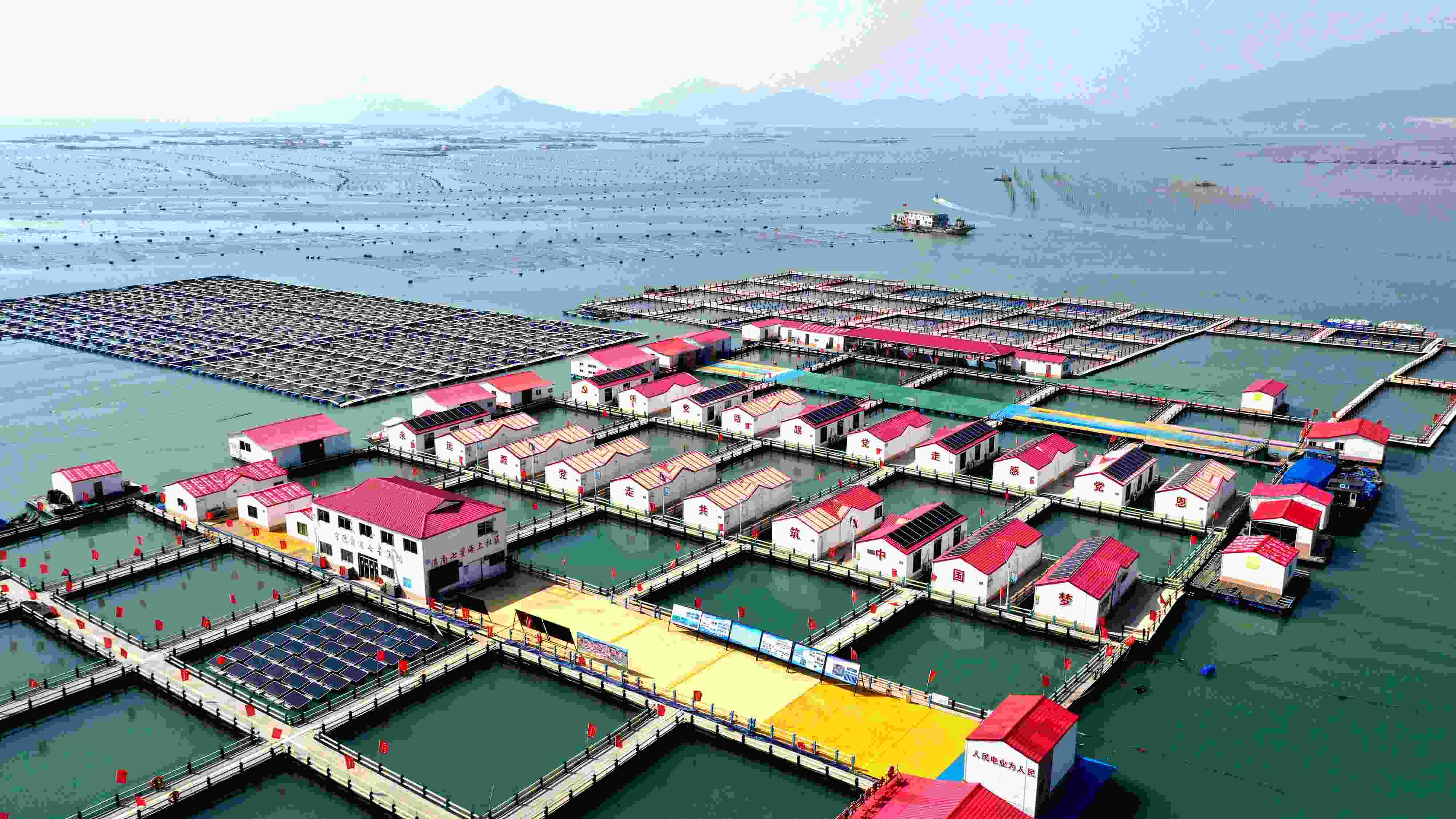 2024年3月20日，福建省寧德市，霞浦縣溪南鎮(zhèn)七星村漁排養(yǎng)殖示范區(qū)，漁民駕駛養(yǎng)殖船進行海參養(yǎng)殖作業(yè)。