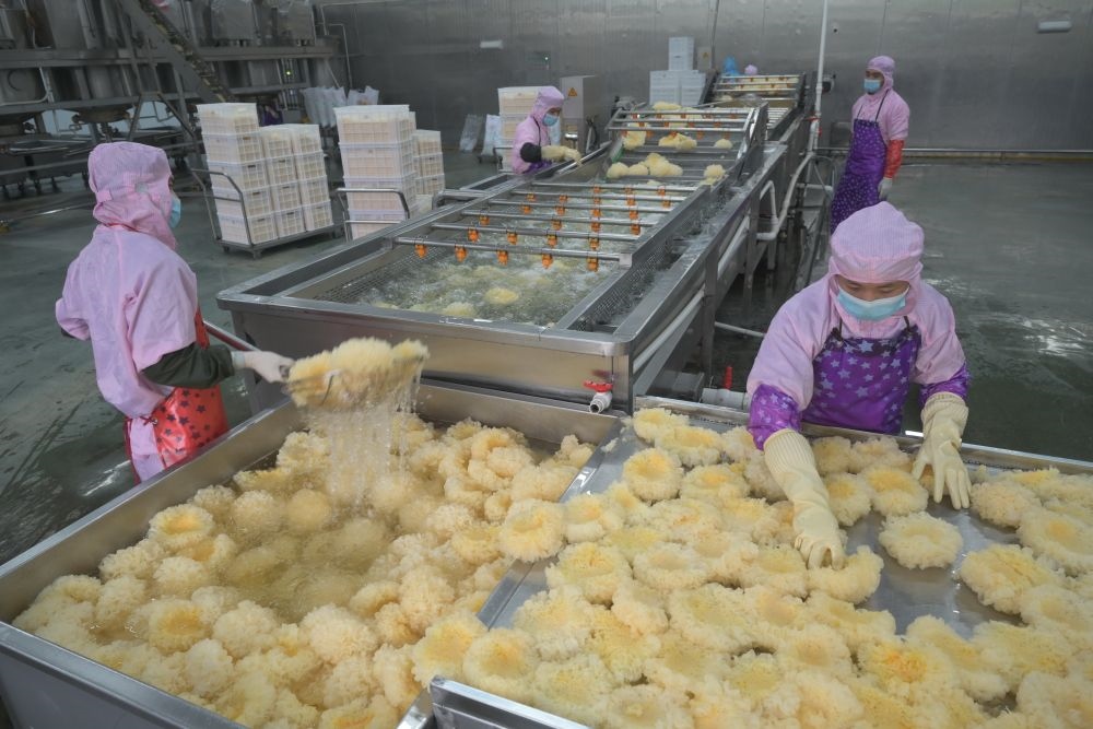 2024年5月10日，在福建省寧德市古田縣，一家食品公司的工作人員在挑選清洗銀耳。新華社記者 林善傳 攝
