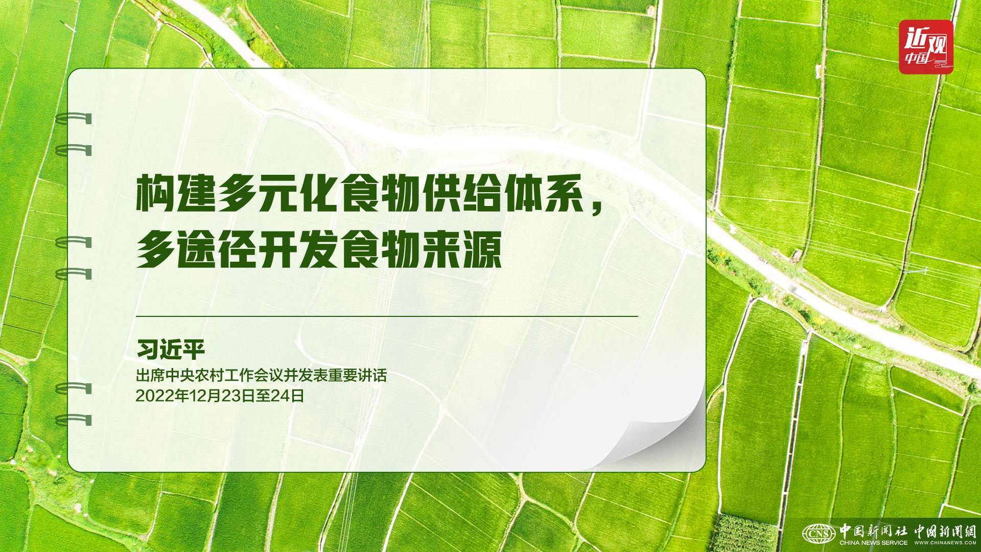 習(xí)近平：樹立大食物觀，構(gòu)建多元化食物供給體系