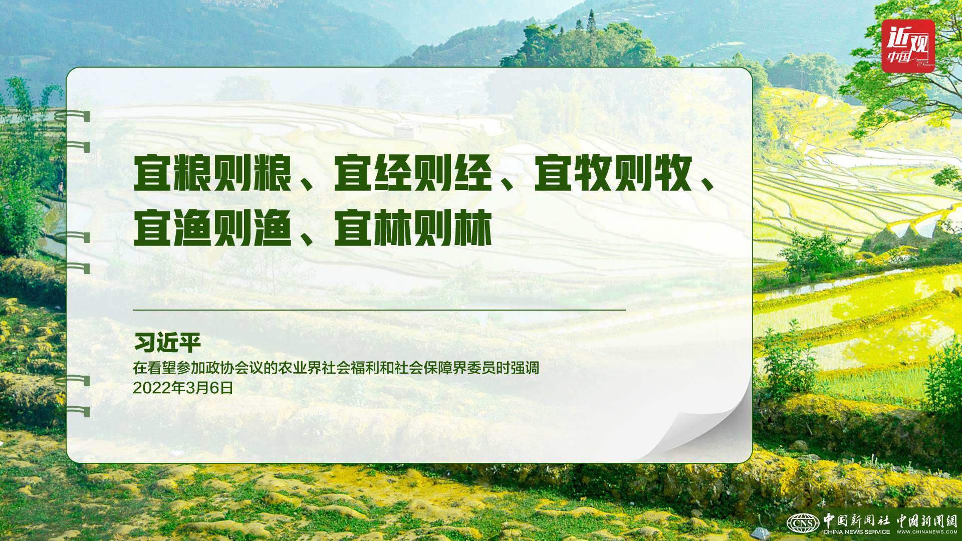 習(xí)近平：樹立大食物觀，構(gòu)建多元化食物供給體系