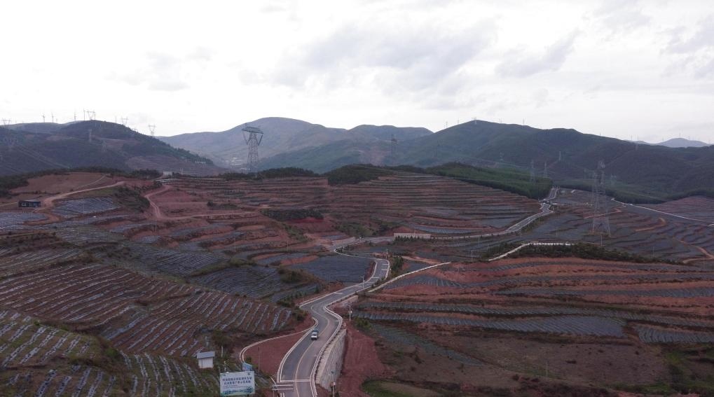 火普村的藍(lán)莓基地一角（無人機(jī)照片）。新華社記者 尹恒 攝