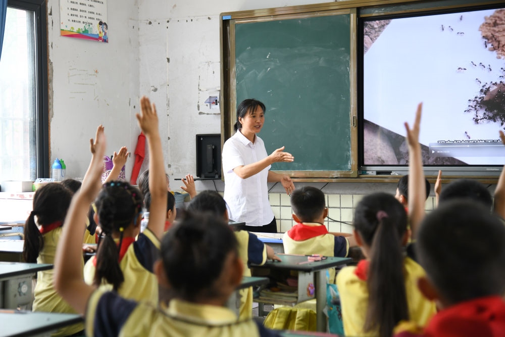 5月31日，學生在科學課上與老師互動。