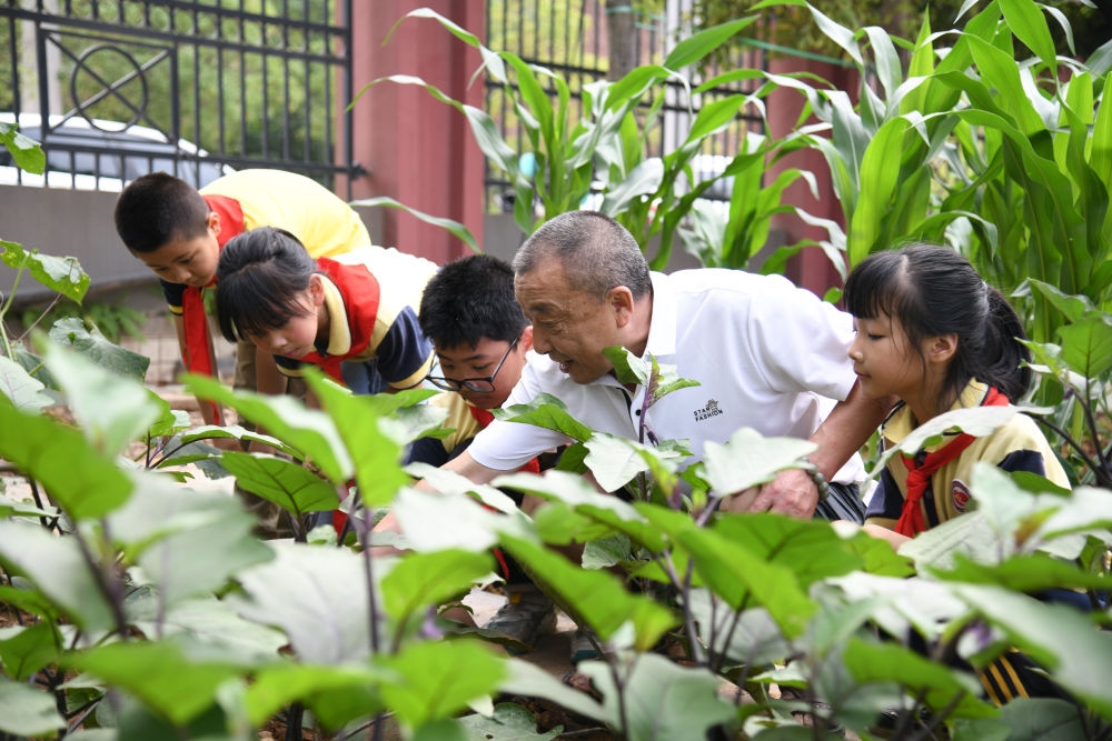 5月31日，老師帶領(lǐng)學(xué)生在之江小學(xué)勞動(dòng)實(shí)踐基地學(xué)習(xí)蔬菜知識(shí)。新華社記者 胥冰潔 攝