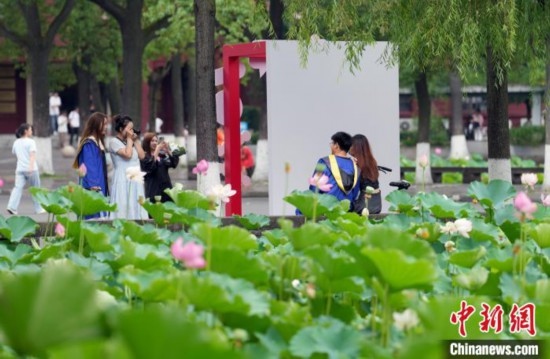 6月19日，時值一年畢業(yè)季，四川大學(xué)望江校區(qū)荷花池里的荷花盛開，成為了畢業(yè)生們的打卡圣地，吸引了眾多畢業(yè)生拍照留念。圖為畢業(yè)生在荷花池邊拍照留念。中新社記者 安源 攝