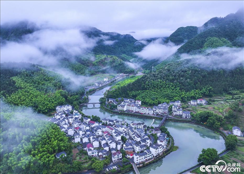 2024年6月19日，浙江省杭州市淳安縣楓樹嶺鎮(zhèn)下姜村，雨后云霧繚繞。