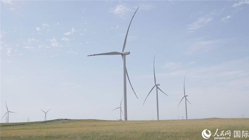 阿克莫拉州風電項目群風機。 人民網(wǎng)記者 葛泰佚攝
