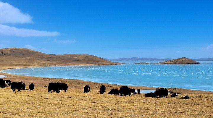 在三江源國家公園黃河源園區(qū)拍攝的扎陵湖風(fēng)光（2022年3月12日攝）。新華社記者 呂雪莉 攝