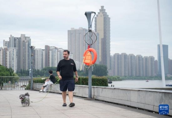 7月20日，在安徽蕪湖市，馬丁在長江邊遛狗。新華社記者 傅天 攝