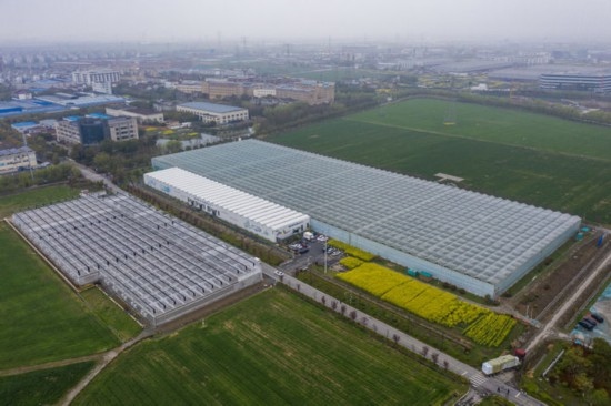 2024年3月28日，空中俯瞰嘉興南湖區(qū)湘家蕩農(nóng)業(yè)數(shù)字化工廠（無人機(jī)照片）。該農(nóng)業(yè)數(shù)字化工廠占地總面積約62畝，包含智慧農(nóng)業(yè)生產(chǎn)、物聯(lián)網(wǎng)智能管理、自動(dòng)分揀包裝、保鮮儲(chǔ)藏物流、高科技示范展示等五大功能區(qū)，可直接或間接培養(yǎng)帶動(dòng)新型職業(yè)技術(shù)農(nóng)民500人以上。新華社記者 徐昱 攝