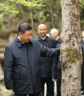 2020年4月，習(xí)近平總書記來到位于商洛市柞水縣的秦嶺牛背梁國家級自然保護區(qū)，考察秦嶺生態(tài)保護情況。新華社記者 鞠鵬 攝