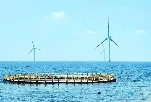 △山東萊州風(fēng)電項目實現(xiàn)了海上風(fēng)電和海洋牧場融合發(fā)展。