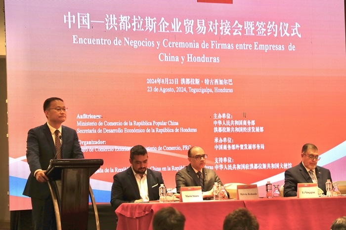 中國商務部外貿司司長李興乾發(fā)表講話。埃內斯托·多明戈斯攝