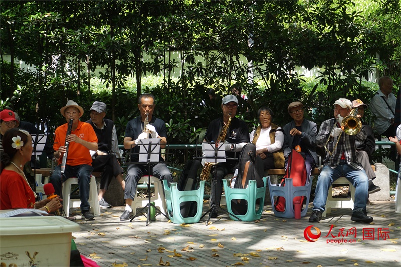 成都居民在公園里演奏歌曲。人民網(wǎng) 王禹蘅攝