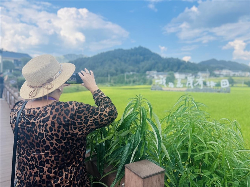 “我在花茂有塊田”，不僅是中國人的詩和遠方，也是塔吉克斯坦“阿維斯塔”通訊社總編輯占納特洪·庫爾班諾娃的“烏托邦”。（張亞欣攝）