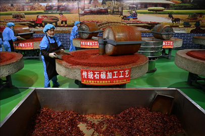 工人用電動(dòng)石碾加工辣椒面。新華社記者 范培珅 攝