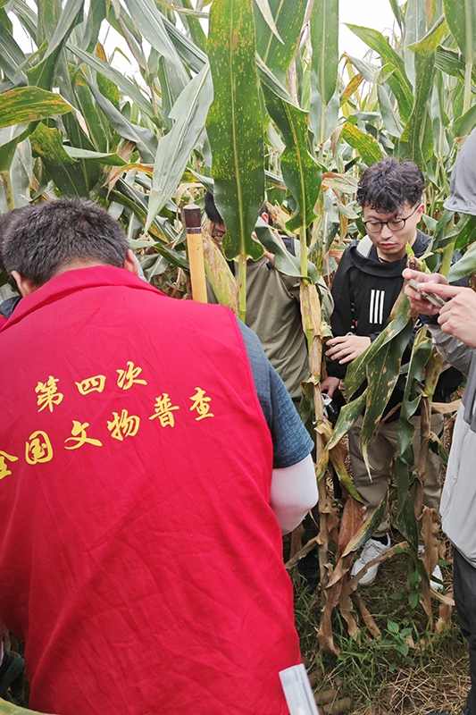 普查隊員正在使用探鏟進(jìn)行探測。中國文物報供圖