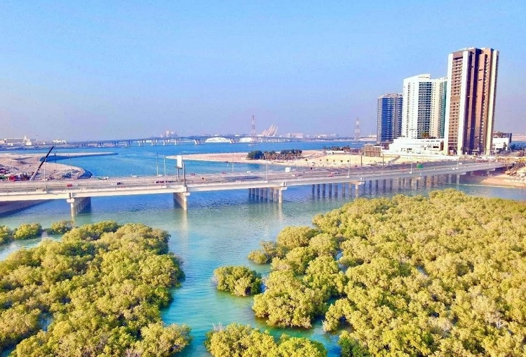 圖為瑞姆橋施工現場。中國土木供圖