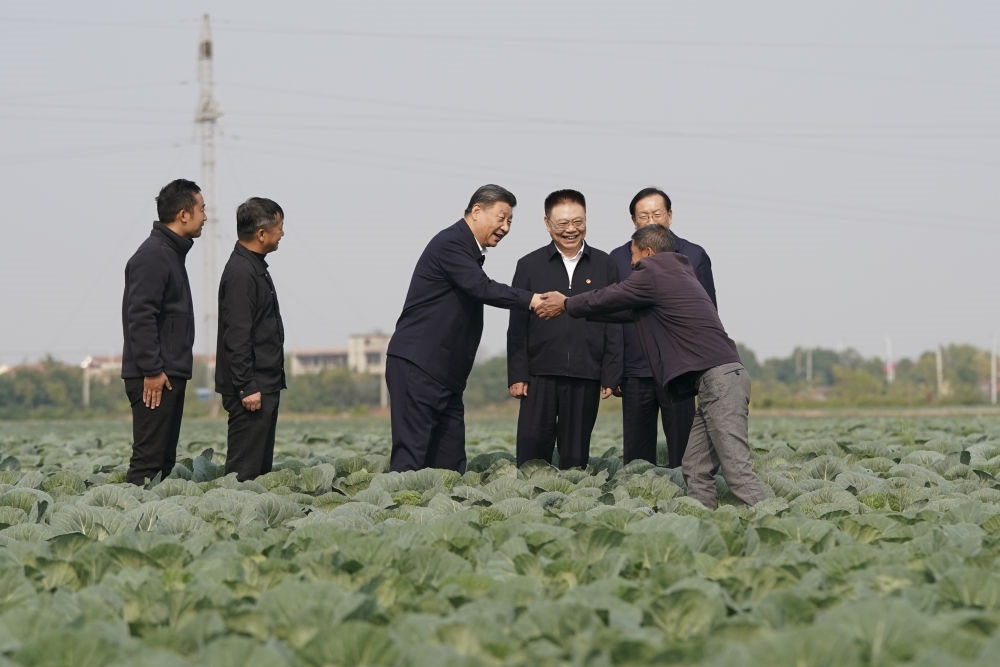 2024年11月5日，習近平在咸寧市嘉魚縣潘家灣鎮(zhèn)十里蔬菜長廊考察時，同菜農(nóng)親切交流。