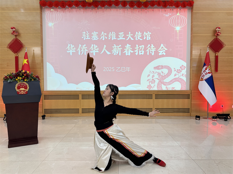 招待會現(xiàn)場表演。諾維薩德孔子學(xué)院供圖