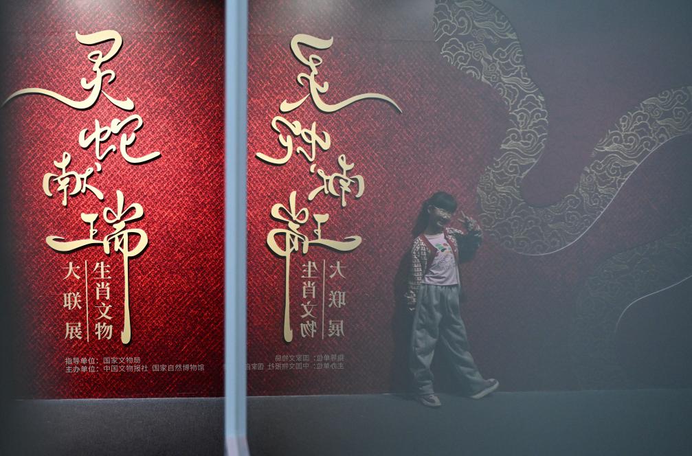 1月18日，一名小朋友在國家自然博物館舉辦的“靈蛇獻(xiàn)瑞——2025乙巳蛇年生肖文物大聯(lián)展”展覽中拍照留念。（新華社記者 陳鐘昊 攝）