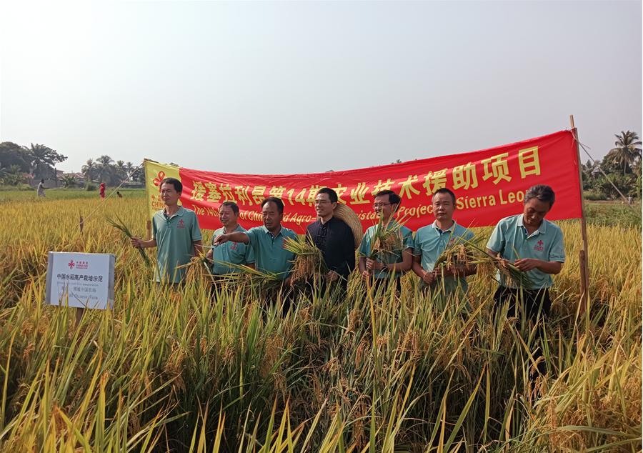 中國駐塞拉利昂大使王擎和援塞農(nóng)業(yè)專家組合影。中國援塞農(nóng)業(yè)專家組供圖