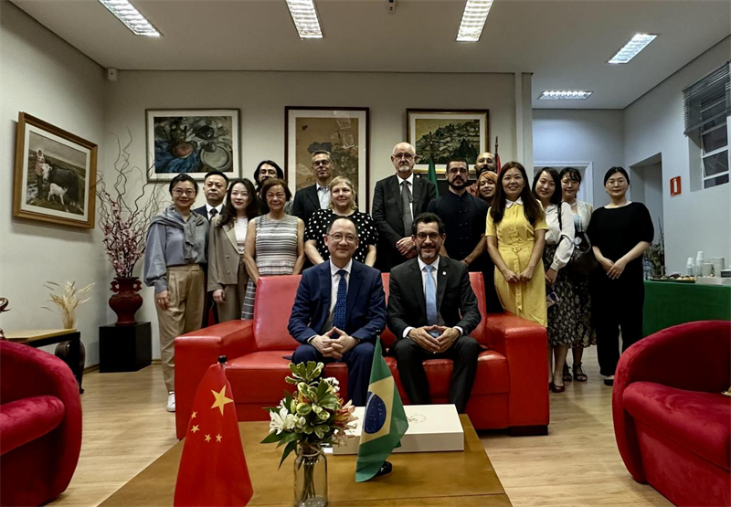 圖為參加座談會(huì)的來(lái)賓合影留念。 圣保羅州立大學(xué)孔子學(xué)院供圖