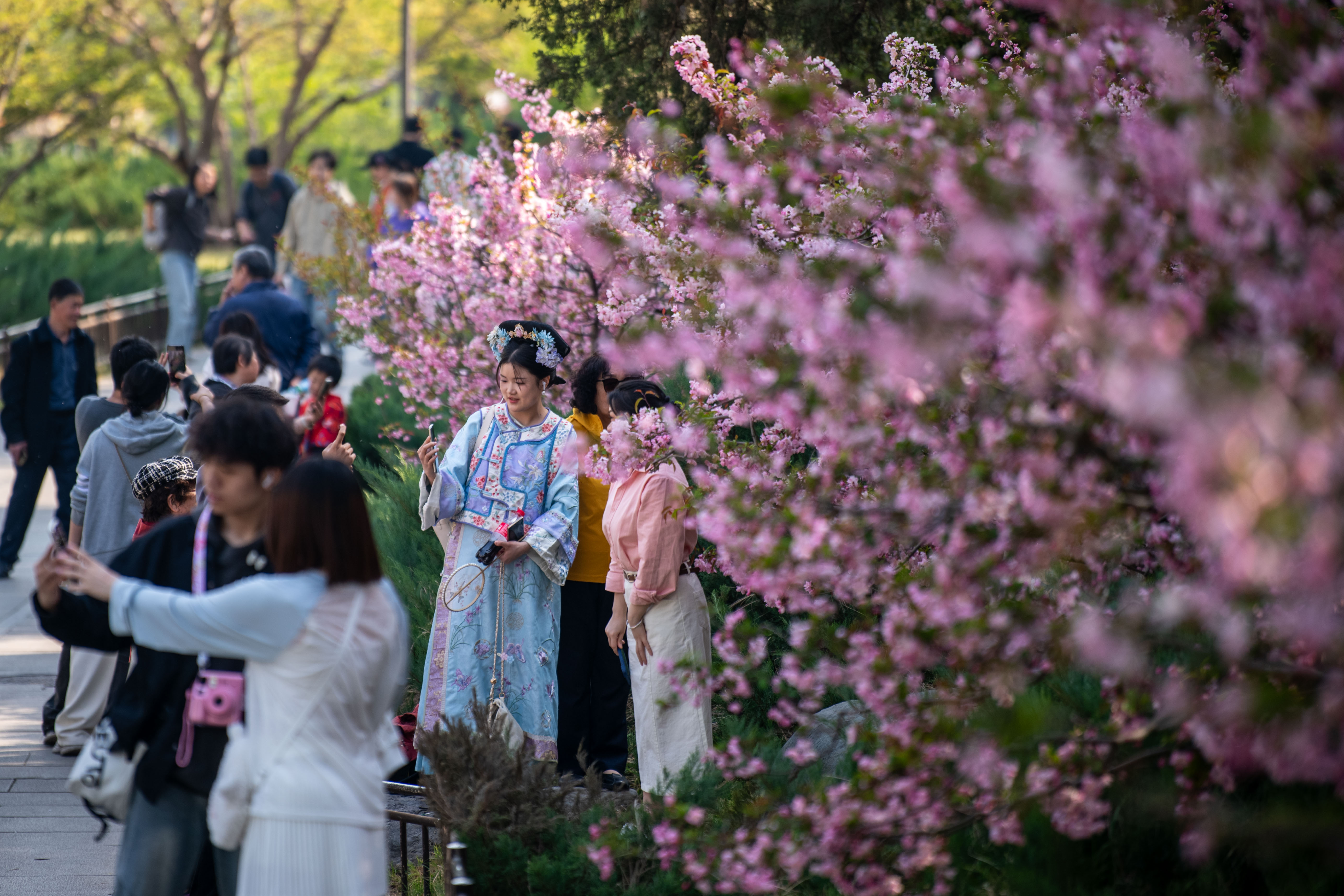 2025年4月6日，北京北海公園，滿園春色醉游人。人民網記者 翁奇羽攝