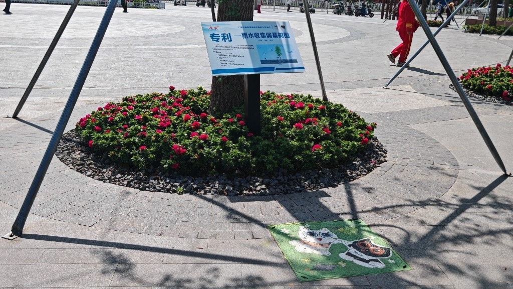 廣安“雨水收集調蓄樹池”，已在市內公園落地運用。受訪者供圖