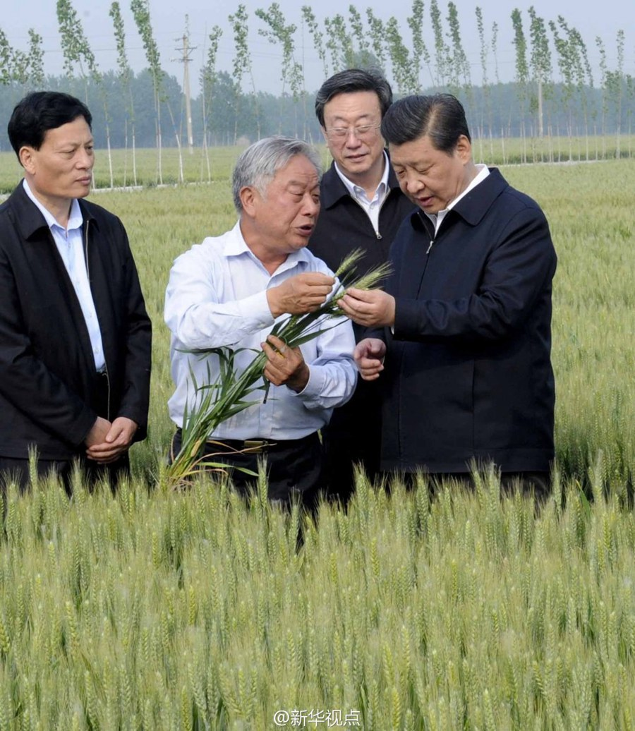 2014年5月，習(xí)近平總書記在河南省尉氏縣張市鎮(zhèn)高標準糧田察看小麥長勢。